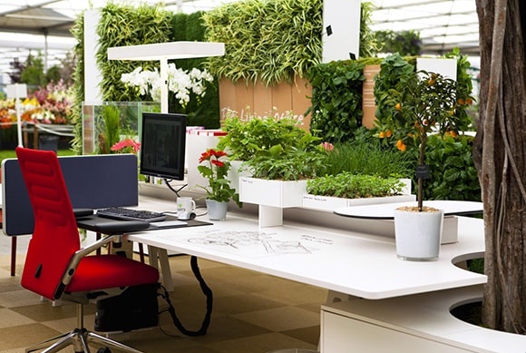 Hướng bố trí bàn làm việc văn phòng phù hợp với người mệnh thủy